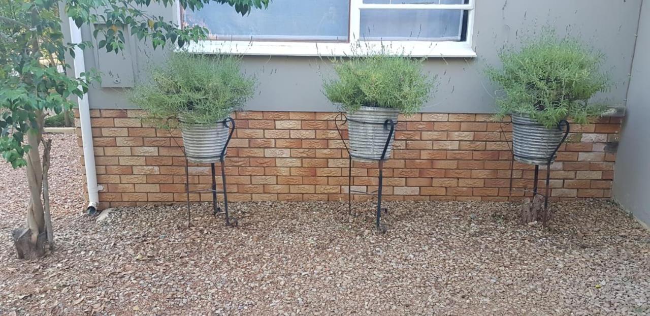 Mulberry Place Cradock Esterno foto