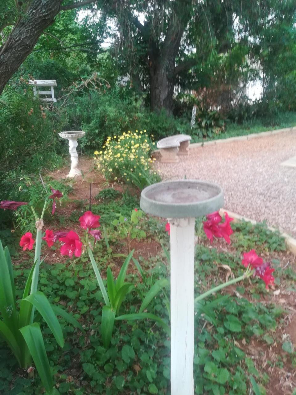 Mulberry Place Cradock Esterno foto