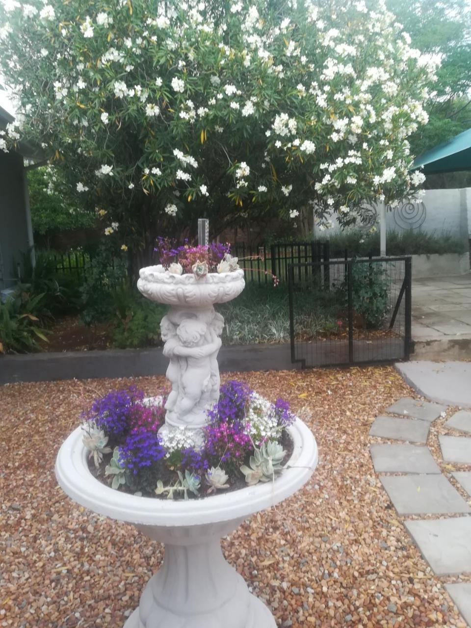 Mulberry Place Cradock Esterno foto